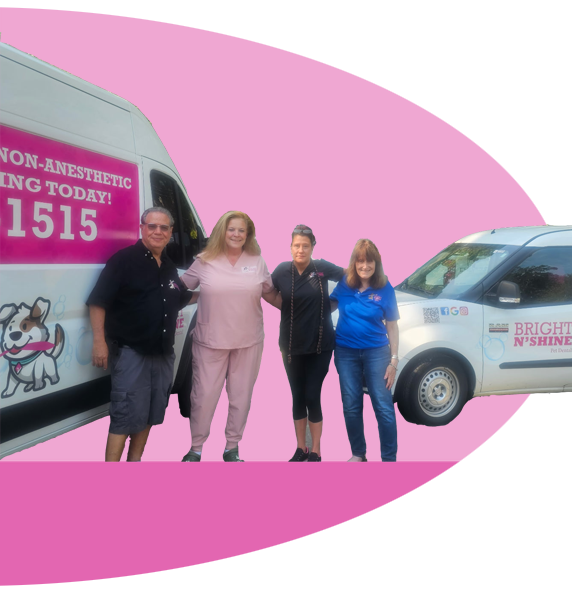 new-truck-about-us