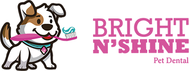 Bright N' Shine Pet Dental Logo